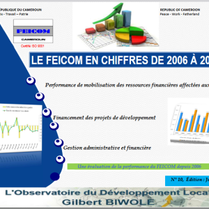 LE FEICOM EN CHIFFRES DE 2006 À 2019