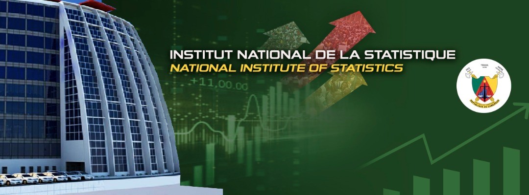 INSTITUT NATIONAL DE STATISTIQUE
