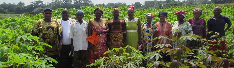 Ministère de l’Agriculture, de l’Elevage et du Développement Durable