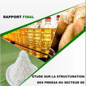 Etude sur la structuration des PMEESA du secteur de l'Agro-industrie, Rapport Final
