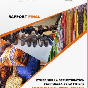 Etude sur la structuration des PMEESA de la filière Coton-Textile-Confection, Rapport Final